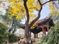 -宣武艺园