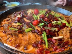 -老板恋上鱼(印象城店)