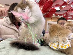 -万达广场(大明宫店)