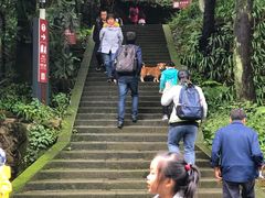 -窦圌山风景区