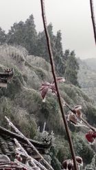 -御品•瑶浴灸疗SPA