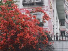 -深运潮州粥(东门店)