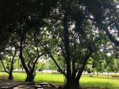 -南国桃园旅游度假区