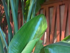 -云阿蛮云南生烫牛肉米线(奉贤路店)