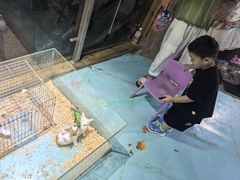-嘉兴海底世界