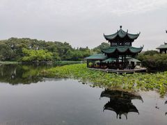 -桂湖森林公园