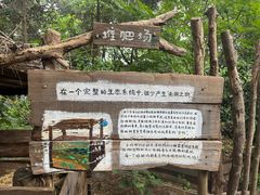 -鸡鸣汤包(红山动物园店)