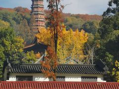 -宝通禅寺