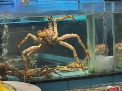 -王庄阿咪海鲜大排档(象园店)