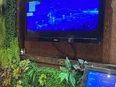 -9527星耀烧烤音乐酒馆