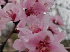 -北京十三陵国家森林公园蟒山景区