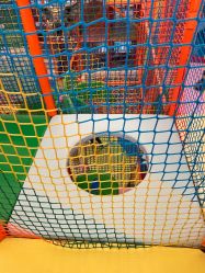 -寻石问宝研学亲子乐园(朝阳公园店)