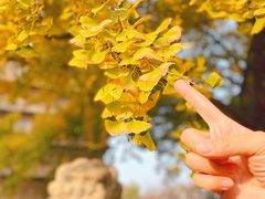 -北京石刻艺术博物馆(五塔寺)