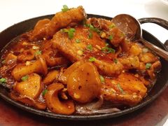 石锅碟鱼-渔家灯火(明湖店)