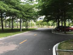 -顺德职业技术大学