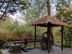 -溱湖国家湿地公园