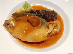 橘黄豚鲍鱼-子福慧(虹桥店)
