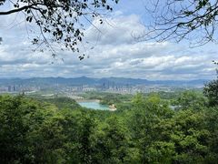 -大奇山国家森林公园
