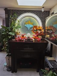 -Nora阿育吠陀·瑜伽·整体疗愈苑