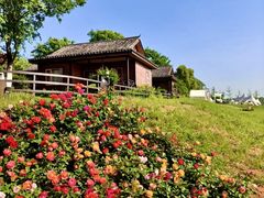 -梁子湖东篱老屋生态庄园