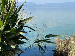 -捞渔河湿地公园