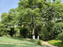 -呈贡滇池生态湿地公园