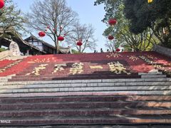 -三峡梯城
