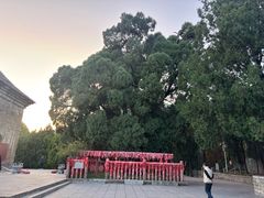 -四门塔风景区