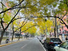 -元大都城垣遗址公园