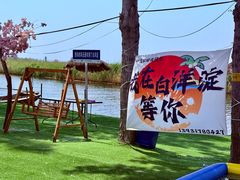 -白洋淀景区