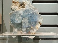 -中国地质博物馆
