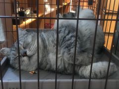-金谷里艺术馆