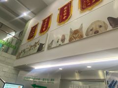 -爱侣宠医·鹦鹉专科·小型哺乳类·异宠专科(灵石路店)