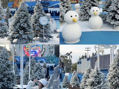 -汕头中海黄金海岸水上乐园