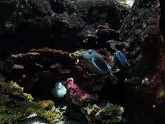 -杭州海底世界