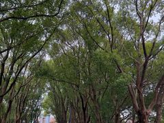 -同里国家湿地公园