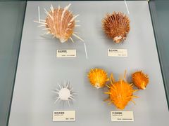 -天津古林古海岸遗迹博物馆