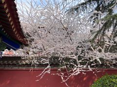 -西安市广仁寺
