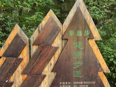 -汤旺河林海奇石景区