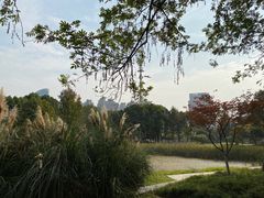 -后襄河公园