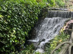 -广州市白云山风景名胜区