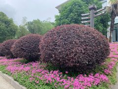 -南京金牛湖风景区