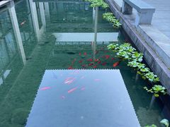 -温州永嘉书院