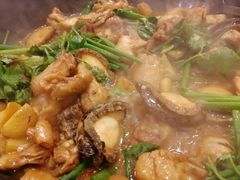鲍鱼焖鸡-梧桐庄园