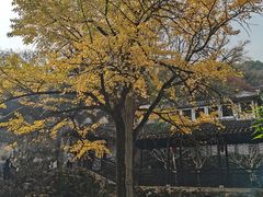 -惠山古镇·寄畅园