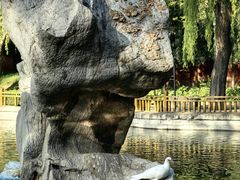 -隆兴寺