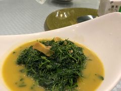 河蚌芽菜-镇扬菜馆