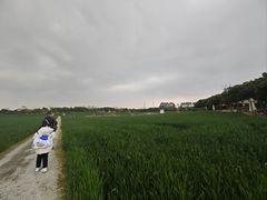 -三圣花乡旅游区