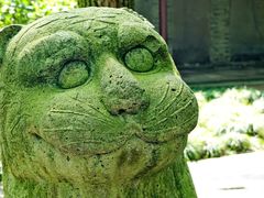 -天一阁博物院