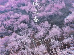-定都阁